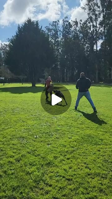 Entrenamiento deportivo de K-Nine MDQ en el predio