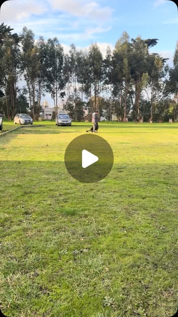 Jornada de entrenamiento de K-Nine MDQ en el predio
